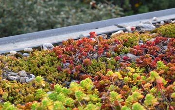 the cost of St Arvans green roof installation