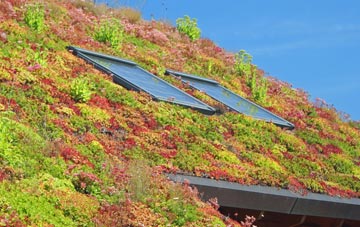 St Arvans living roof systems